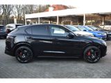 Alfa Romeo Stelvio Veloce Q4 2.0 Turbo - AHK - 21 Zoll- Pan - Alfa Romeo Stelvio New cars