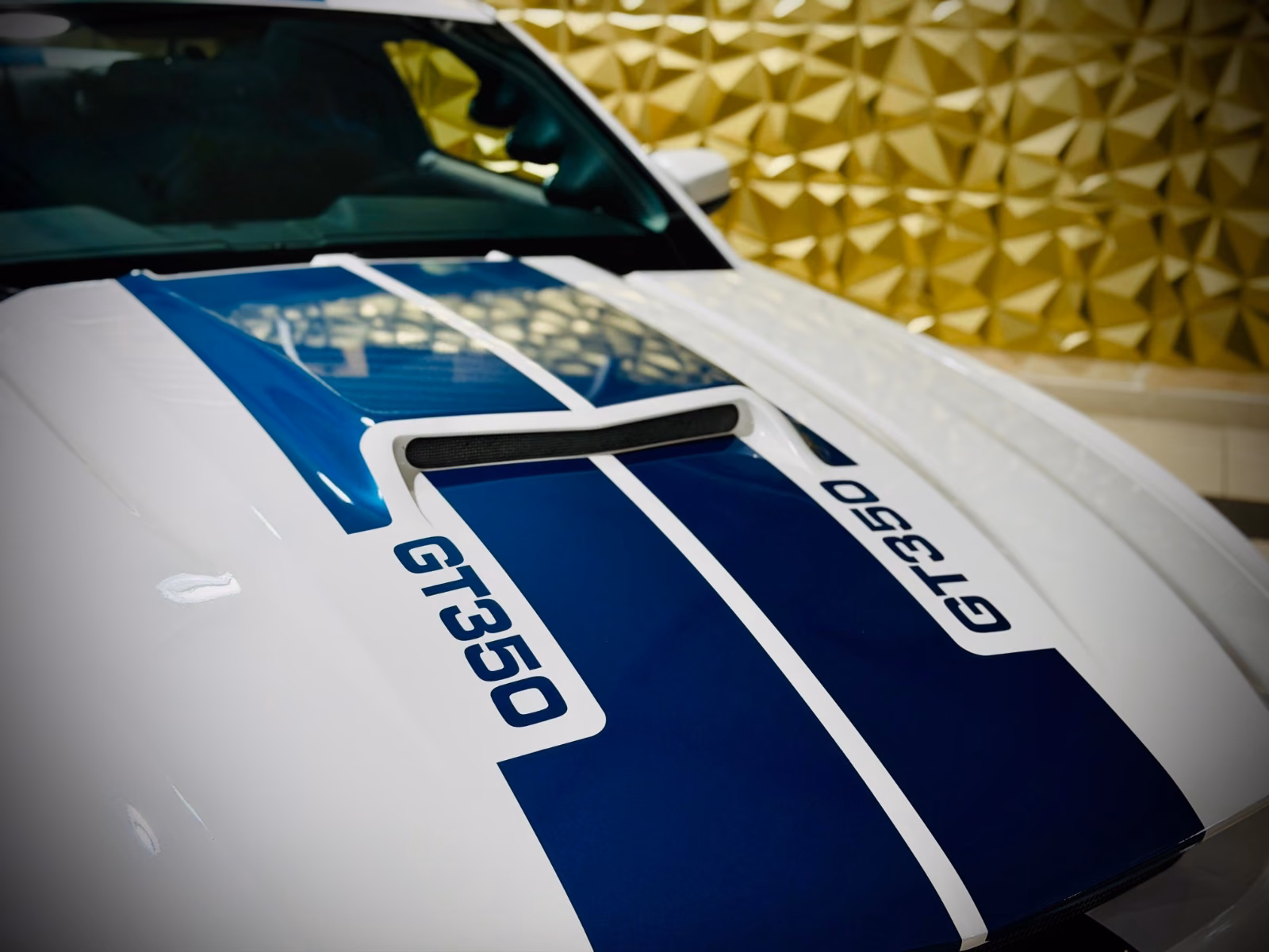 Ford Mustang Shelby American GT 350|624PS|CSM|SAMMLER