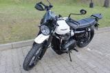 Triumph Street Scrambler 900 - sehr gepflegt mit Zubehör - TRIUMPH STREET SCRAMBLER