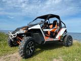 Arctic Cat WildeCat Limited Edition - BENZIN QUAD