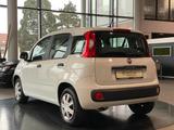 Fiat Panda 1.2 8V Easy CityPaket+ Connect Sitzhzg DAB - Fiat Panda: 1.1