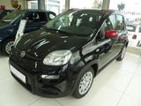 Fiat Panda Pandina HYBRID 1,0  51 kW ( 70 PS ) Sitzhe - Fiat Panda in Lübeck