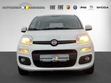 Fiat Panda 1.2 Lounge Flex-Paket1 - Fiat Panda: 1.2