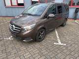 Mercedes-Benz CDI/d EDITION lang AHK/Standheizung/NAVI/ACC - Mercedes-Benz V-Klasse Gebrauchtwagen