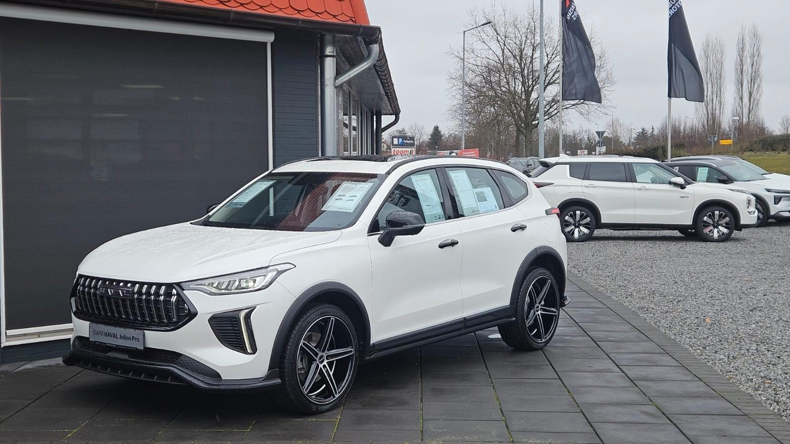 GWM HAVAL Jolion Pro Premium LED Leder Lenkradhzg.
