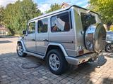 Mercedes-Benz G 500 Station Wagon Lang 463 - aus 2000: Geländewagen