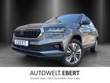 Skoda Karoq Selection 2,0 TDI 110 kW DSG 4x4