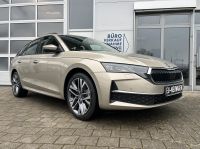 Skoda Octavia 1.5 TSI MHEV DSG Selection AHK 5J GAR bei Autohaus Landmann & Maier OHG