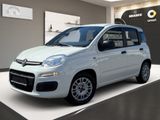 Fiat Panda Urban Klima PDC Allwetterreifen 1.Hand - Fiat Panda in Leverkusen