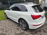 Audi SQ5 3.0 TFSI, Pano, Sportsitze, BuO, S-line VOLL - Audi SQ5 Gebrauchtwagen
