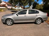 Skoda Scoda Octavia A5 (2008)1.6MPI nur 83.000 km - Skoda Octavia: Mpi
