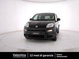 Fiat FIAT Panda 1.0 FireFly S&S Hybrid Sport - Fiat Panda Sport mit Hybrid-Antrieb (Benzin/Elektro)