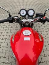 Honda Hornet - HONDA 1999 HORNET
