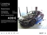 Skoda Octavia  2.0 TSI DSG RS*HUD*ASSIST*NAVI*KAMERA - Skoda Tageszulassungen