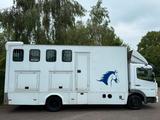 Mercedes-Benz Atego 817 4 Pferde Transporter LKW - Mercedes-Benz 817