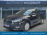 Skoda Fabia Selection 1.0 TSi Edition 130 LED RFK PDC - Skoda Fabia: Edition