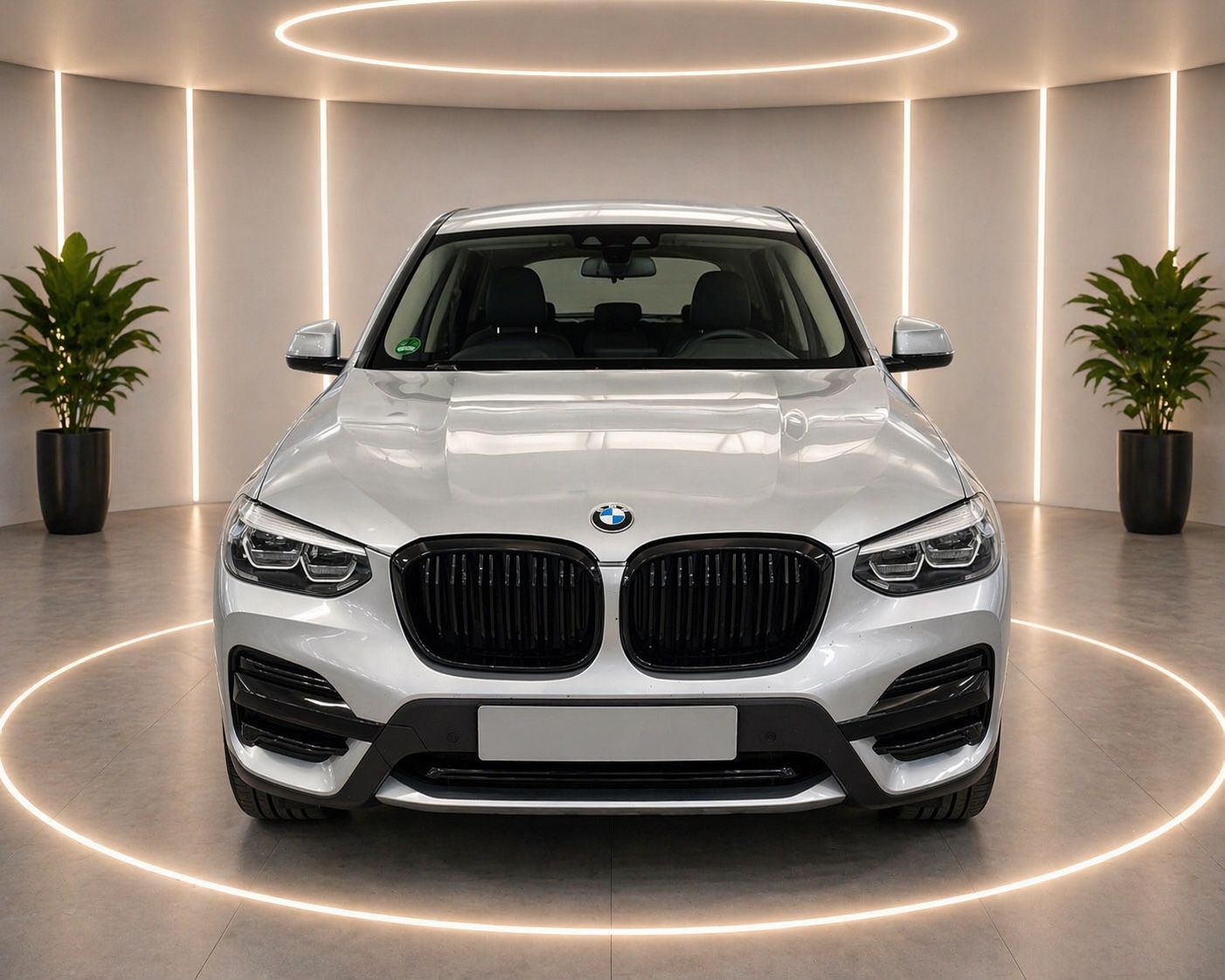 BMW X3 xDrive 20 i Advantage Parkassistent LED foto 2