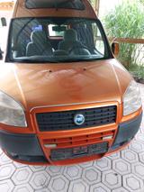 Fiat Hunndefänger mit Hochdach . - Fiat Doblo: Hochdach
