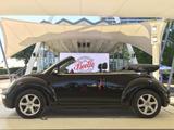 Volkswagen New Beetle 1.9 TDI TÜV Klima Leder PDC Cabrio - Volkswagen Beetle in Bonn