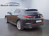 Alfa Romeo Stelvio Super Q4 2.0 Turbo Sportpaket AD Navi Di - Alfa Romeo: Sport