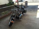 Harley-Davidson FLSTC Heritage Softail - HARLEY-DAVIDSON SOFTAIL HERITAGE