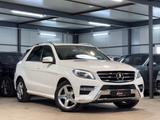 Mercedes-Benz ML 350 CDI BlueTec AMG*AHK*SITZ*AIR - Mercedes-Benz ML 350 in Frankfurt (Main)
