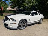 Ford Mustang GT 500 aus Sammlung Originalzustand - Ford Mustang: Or