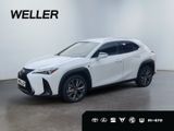 Lexus UX 300h F SPORT Design *LED*ACC*18''*SHZ*CAM*TWA - Lexus UX in Leipzig