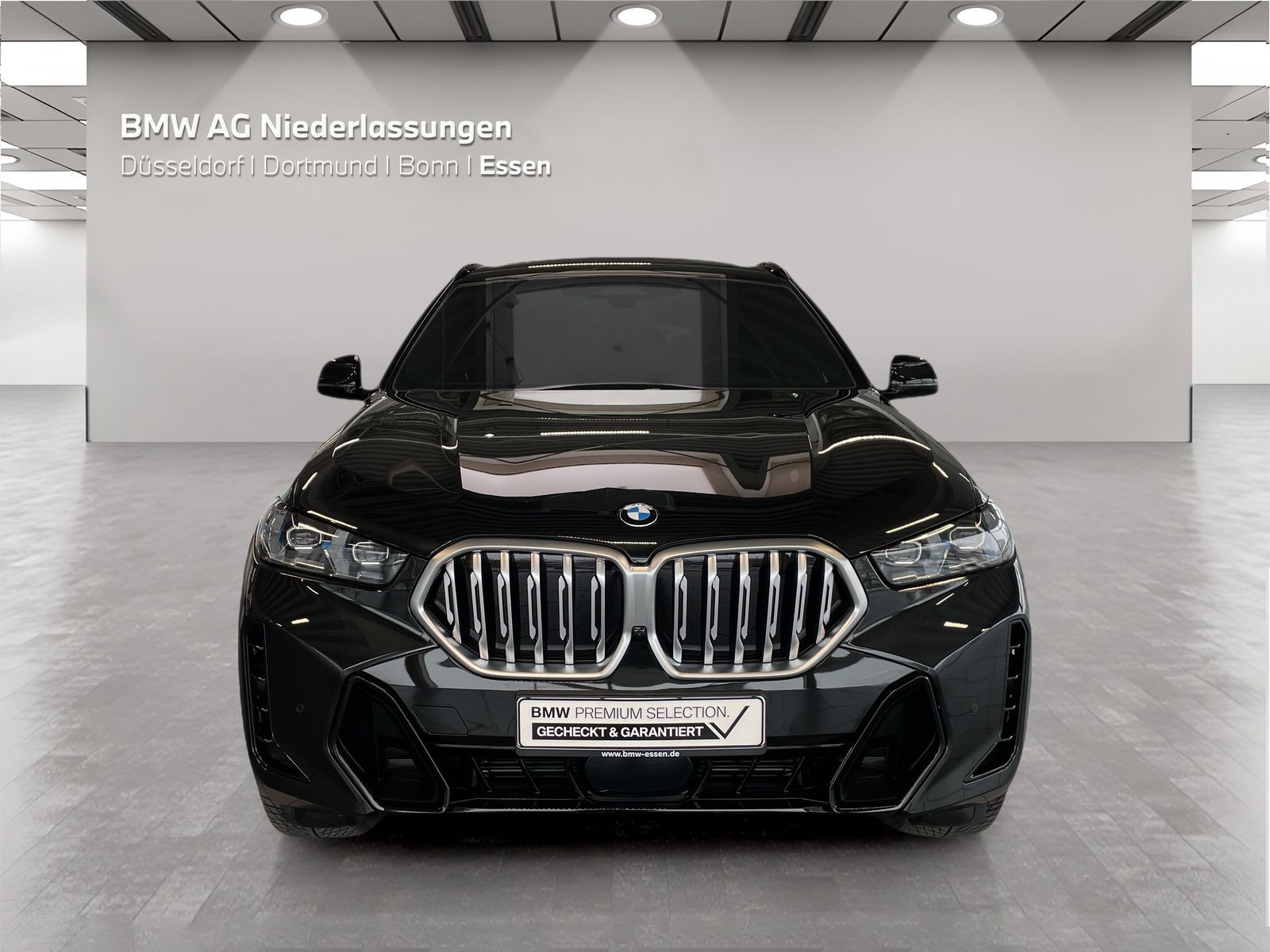 BMW X6 - Bild 8