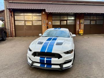 Ford Mustang - 6