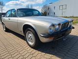 Jaguar XJ6 - graue Jaguar XJ6