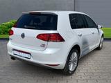 Volkswagen Golf VII Cup 1.4 TSI+Alufelgen+Klimaautomatik+Si - : Alufelgen