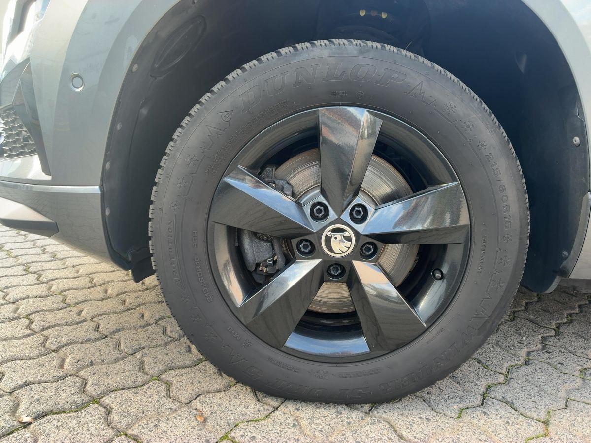 Skoda Karoq 2.0 TDI Sportline 4x4 NAV LED STHZG SHZ
