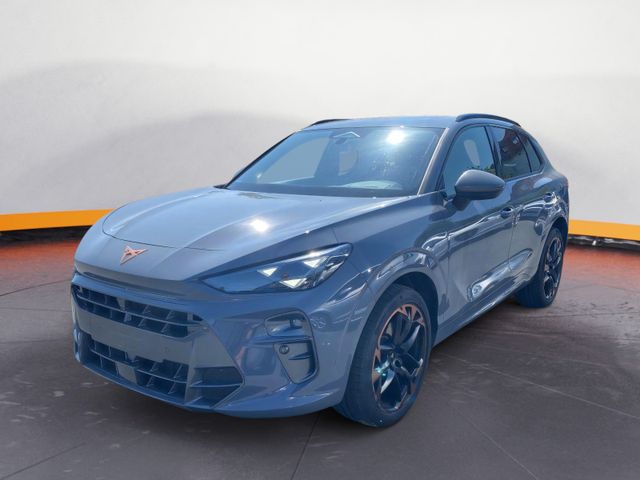 Cupra Terramar 2.0 TSI DSG 4Drive VZ*AHK*Pano*20