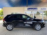 Ford Kuga Titanium FHEV+LED+DAB+KeyFree+PDC+NAV+RFK+L - Ford Kuga Vorführfahrzeuge