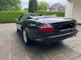 Jaguar XK8 Cabriolet Top Zustand Liebhaberfahrzeug - Jaguar XK8 aus 2000