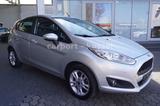Ford Fiesta Celebration Klima/PDC/LM/Euro 6 - Ford Fiesta Gebrauchtwagen in Kassel