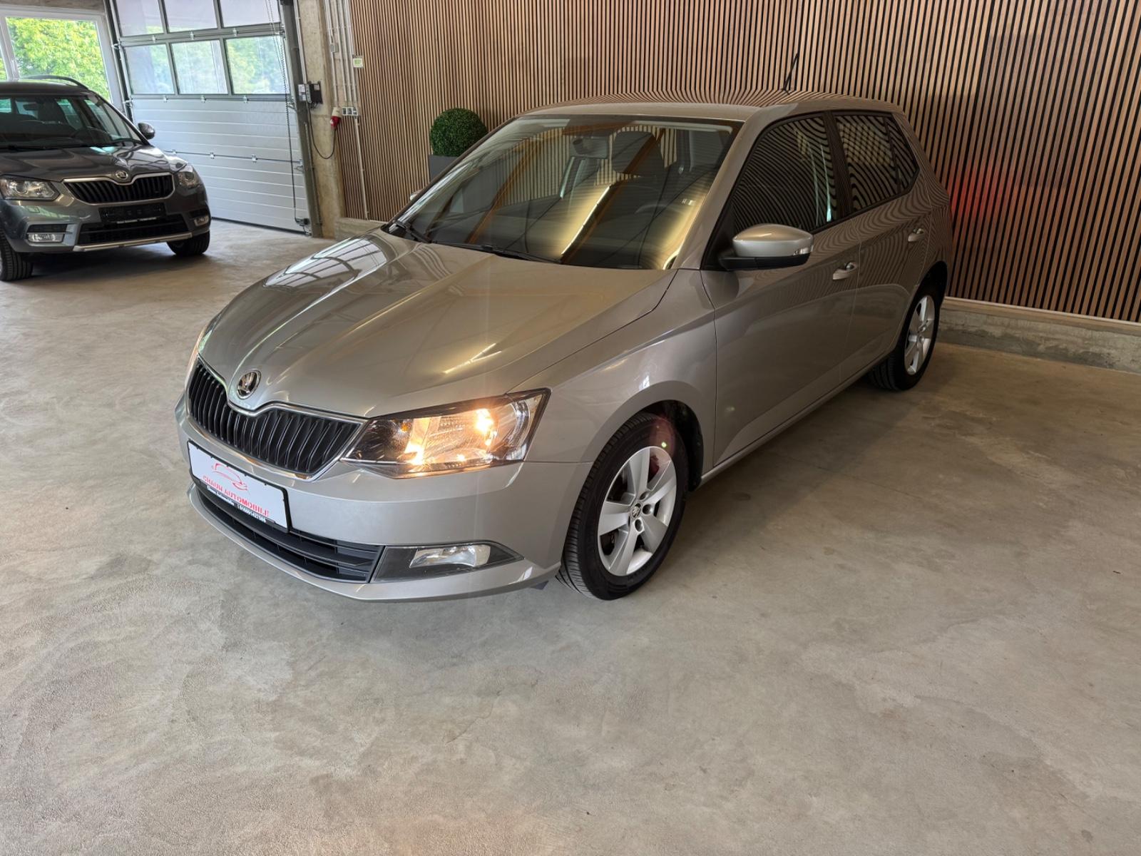 Skoda Fabia Ambition [SHZ][PDC][TEMPOMAT]