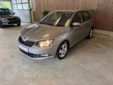 Skoda Fabia Ambition [SHZ][PDC][TEMPOMAT] - Skoda Fabia: Beige