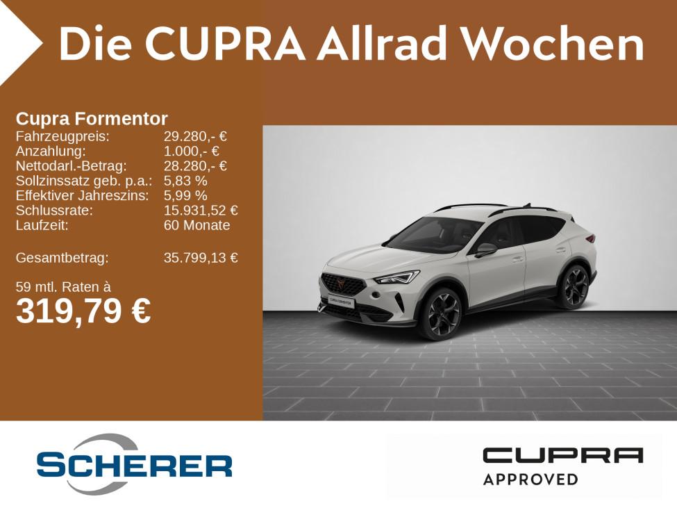 Cupra Formentor VZ 2.0 TSI 4Drive DSG Rückfahrkamera S
