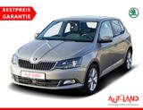 Skoda Fabia 1.0 MPI Clever Sitzheizung PDC Klimaaut. - Skoda Fabia: Mpi