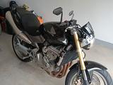 Honda CB 600F Hornet PC36 - HONDA 2006 HORNET 600