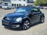 Volkswagen Beetle Cabriolet Cup - mit Benzin-Antrieb Cars in Ulm: Cabrio