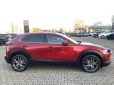 Mazda CX-30 2.0-X AWD Leder Bose Matrix-LED AHK Select - Mazda CX-30 Gebrauchtwagen