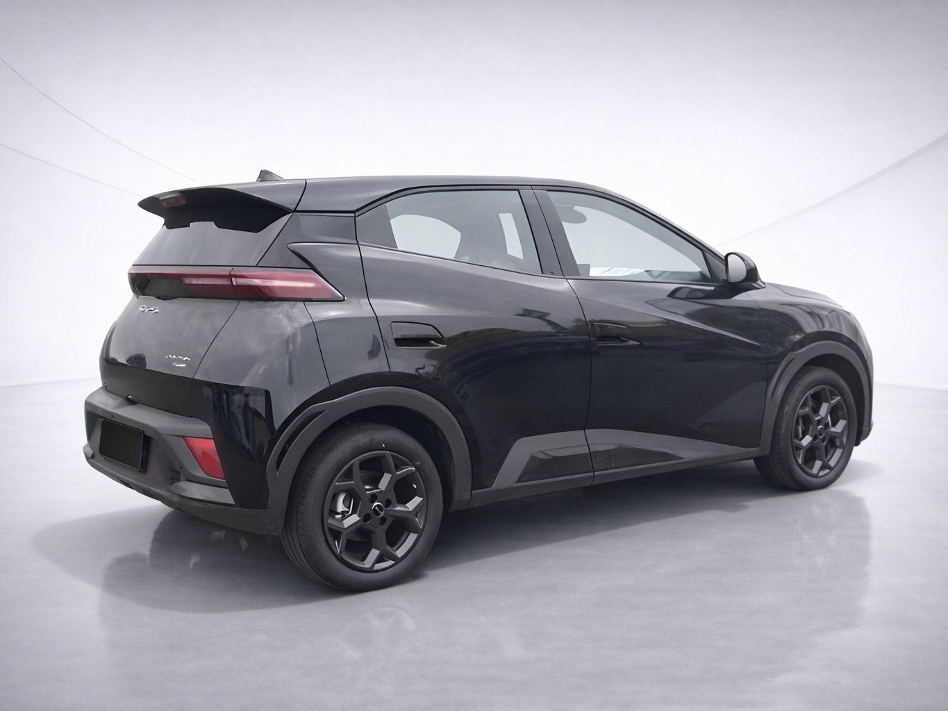 BYD DOLPHIN SURF