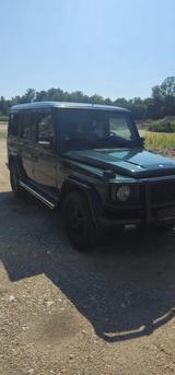 Mercedes-Benz G 270 CDI Station Wagon Lang - - Mercedes-Benz G 270 Gebrauchtwagen
