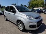 Fiat Panda Easy*1,2L*69PS*Klima*Tüv Neu*Euro 6 * - Fiat Panda in Freiburg