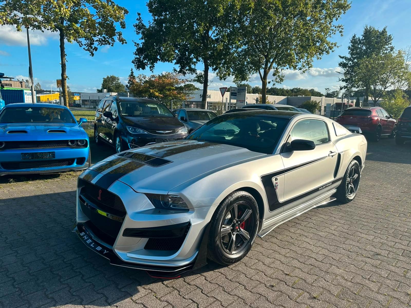 Ford Vollleder, Shelby-Optik,TÜV,GGG garntie!
