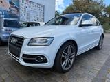 Audi SQ5 3.0 TDI comp. tiptr. quattr Pano*ACC*360*B&O - Audi SQ5 Gebrauchtwagen in Berlin