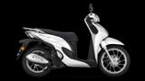 Honda SH125 MODE | TAGESZUASSUNG